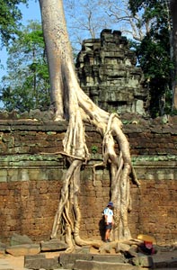 Kambodża - Angkor
