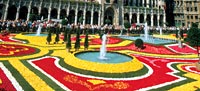 Bruksela - ratusz miejski - dywan z kwiatów